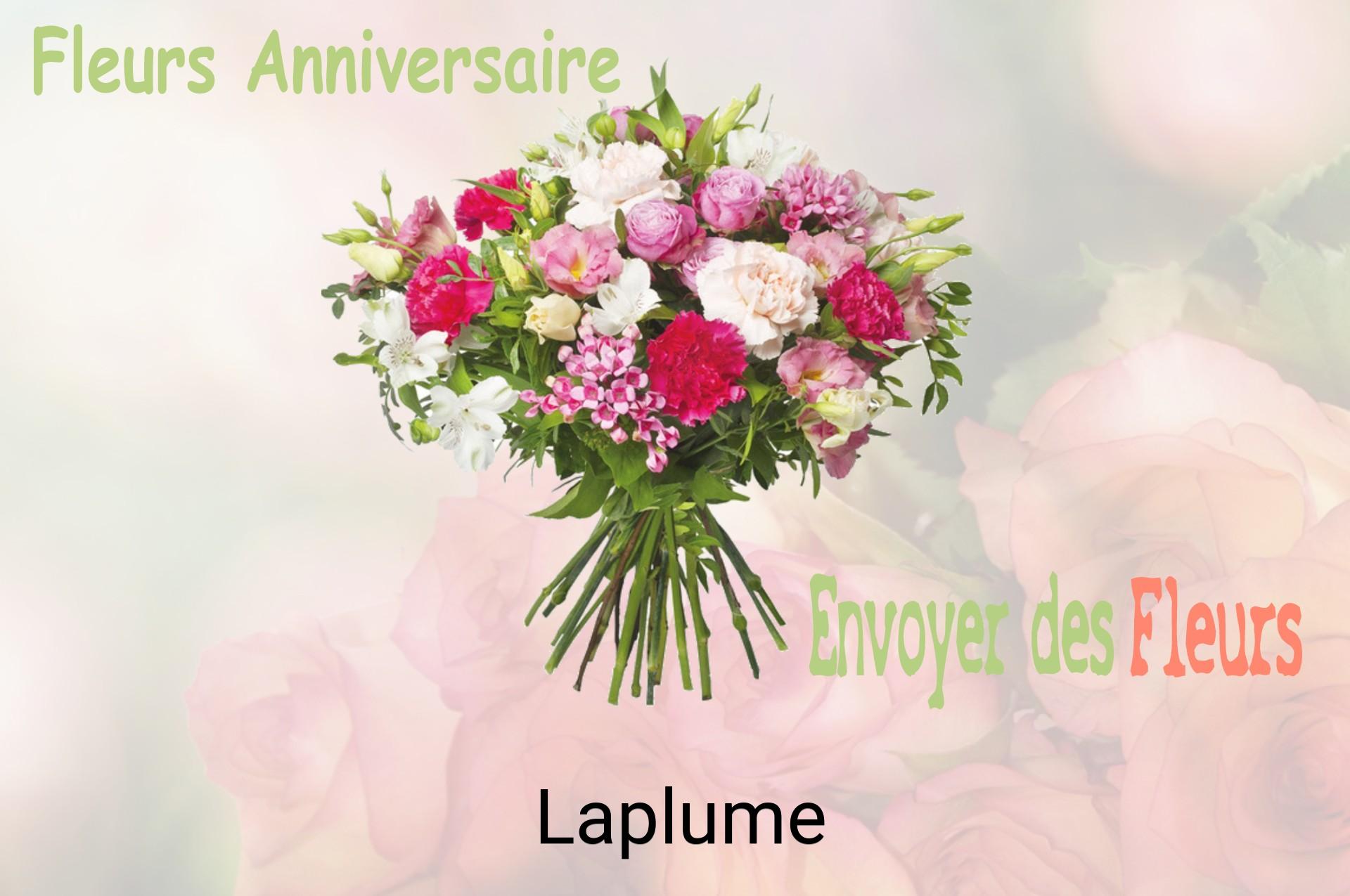 Bouquet de fleurs d’anniversaire livré à Laplume