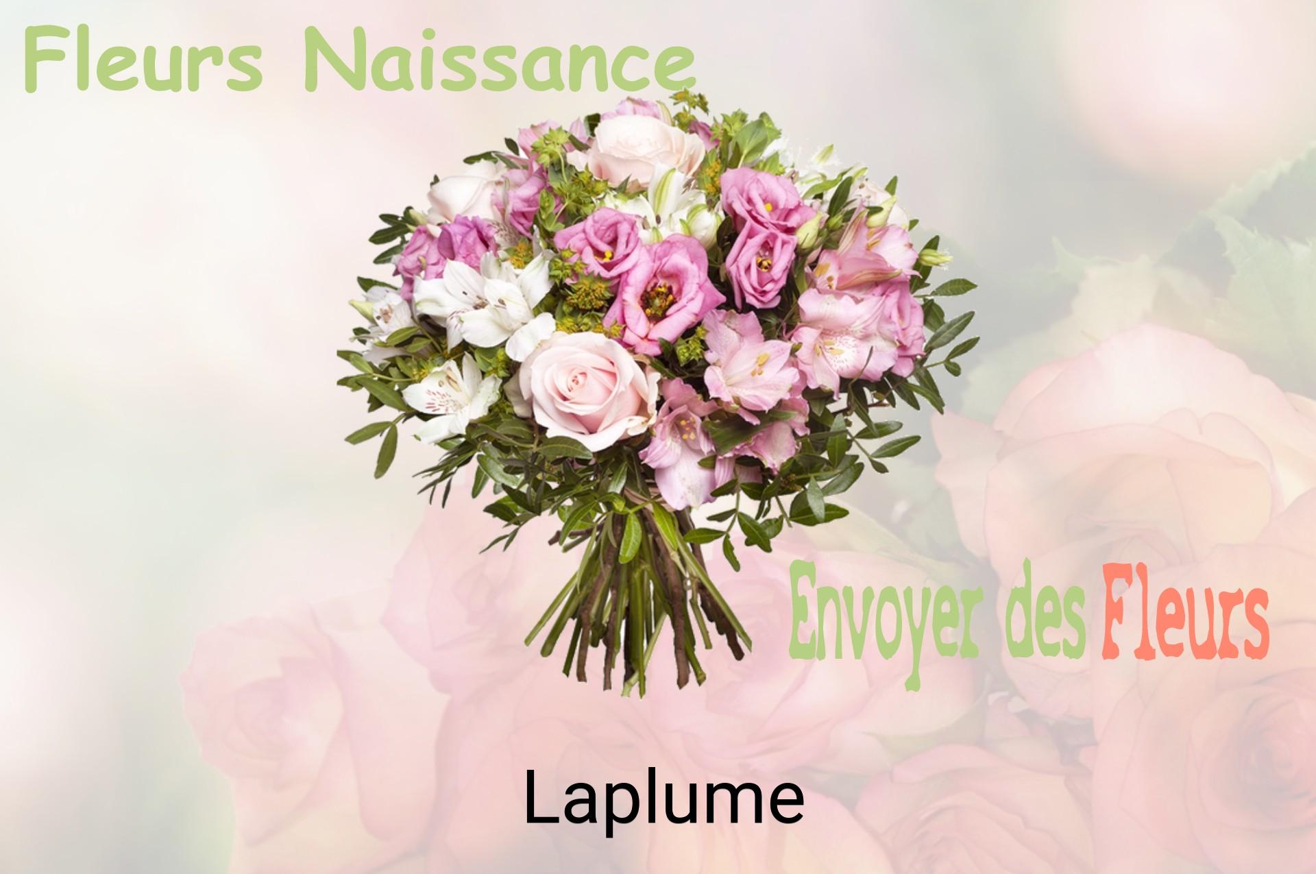 Bouquet de fleurs de naissance livré à Laplume