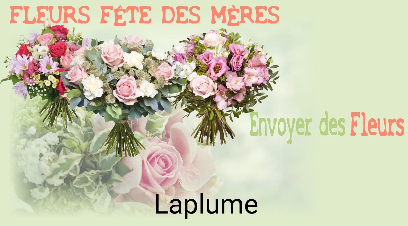 Bouquet de Fête des Mères livré à Laplume